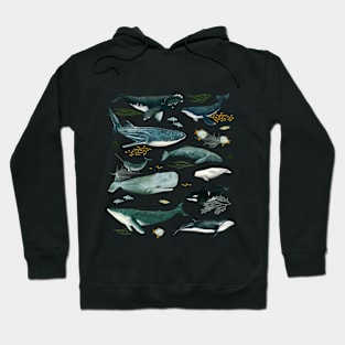 Nautical Nomads Hoodie